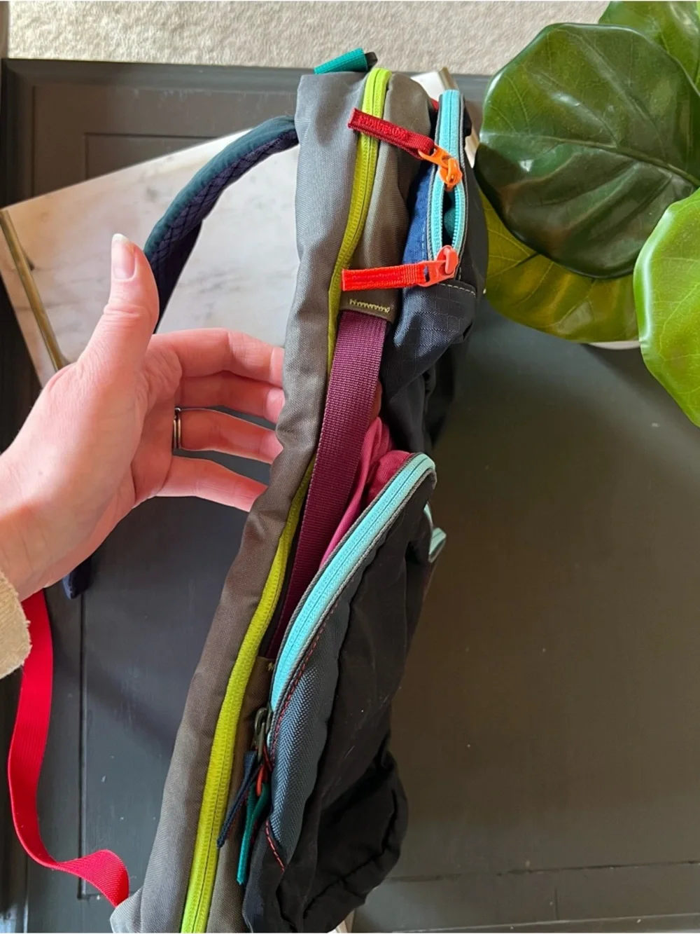 cotopaxi TARSA 16L Del Dia backpack colorful black pink teal backpack travel - Picture 3 of 10